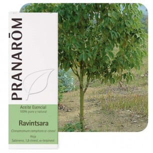 PRANAROM ACEITE ESENCIAL... 2