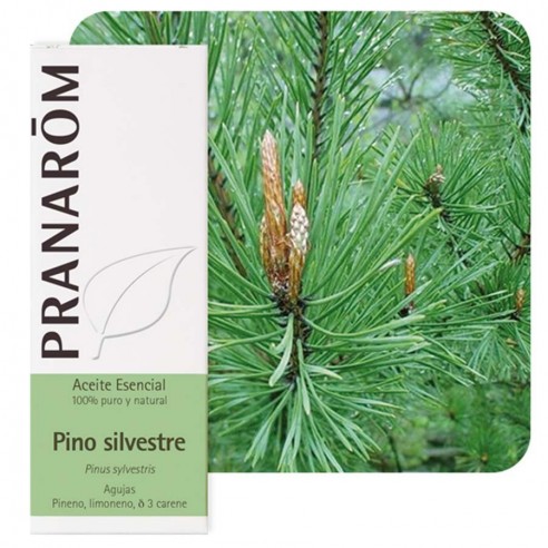 PRANAROM ACEITE ESENCIAL PINO...