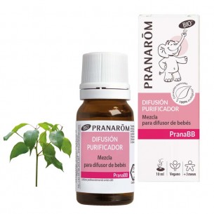 PRANABB DIFUSION...