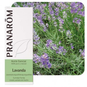 PRANAROM ESENCIA DE LAVANDA...