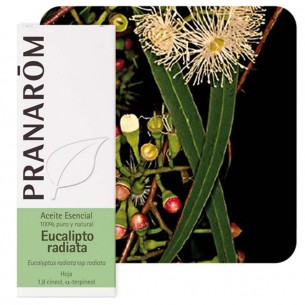 PRANAROM ACEITE ESENCIAL...
